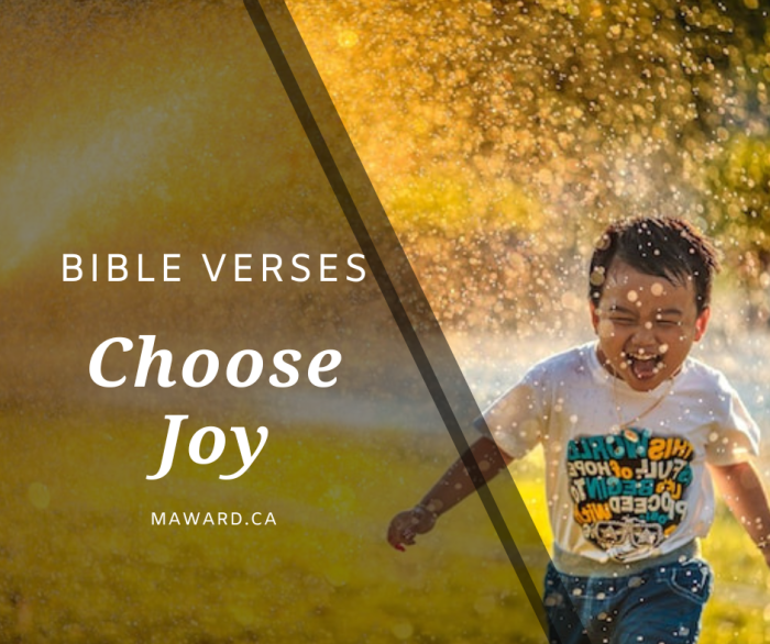 How to choose the best home warranty company?